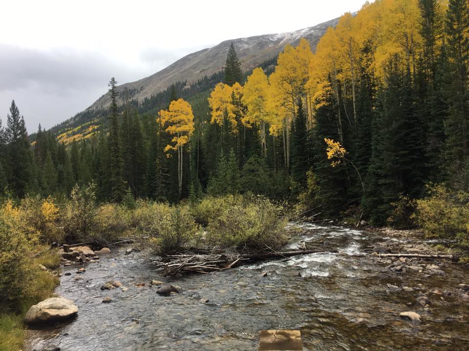 Fall stream
